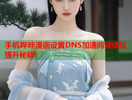 手机哔咔漫画设置DNS加速阅读体验提升秘籍  第1张