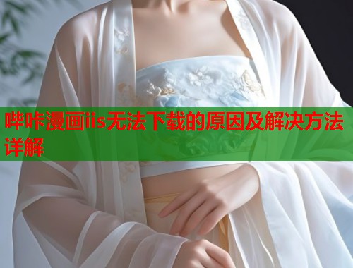 哔咔漫画iis无法下载的原因及解决方法详解  第1张