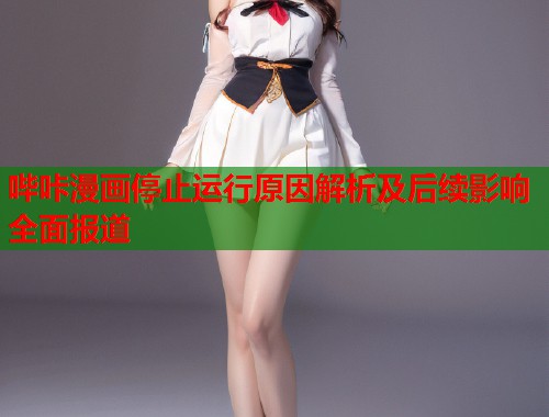 哔咔漫画停止运行原因解析及后续影响全面报道  第1张